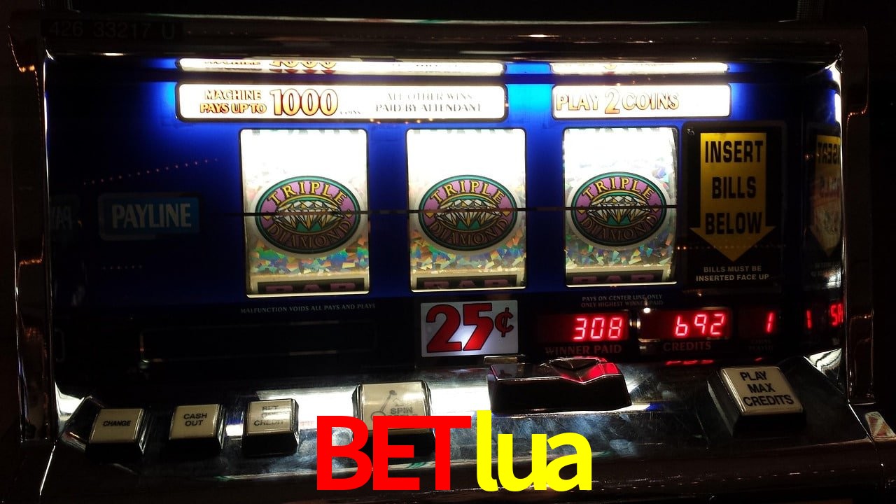 Sports Statistics betlua